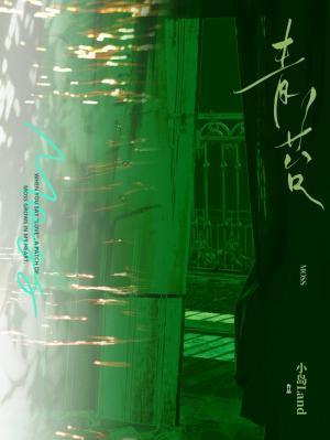 长公子表里不一免费阅读