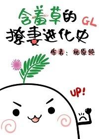 但特级厨师!