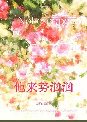 领证后他不装了