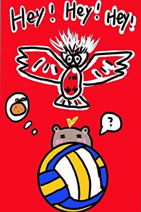 水豚也可以打排球吗