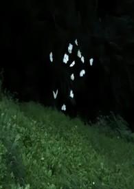 掘攻系统已绑定