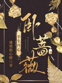 大理寺少卿的小厨娘塞外客笔趣阁